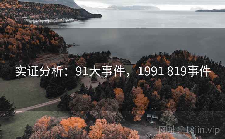 实证分析：91大事件，1991 819事件