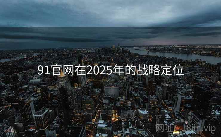 91官网在2025年的战略定位  第2张