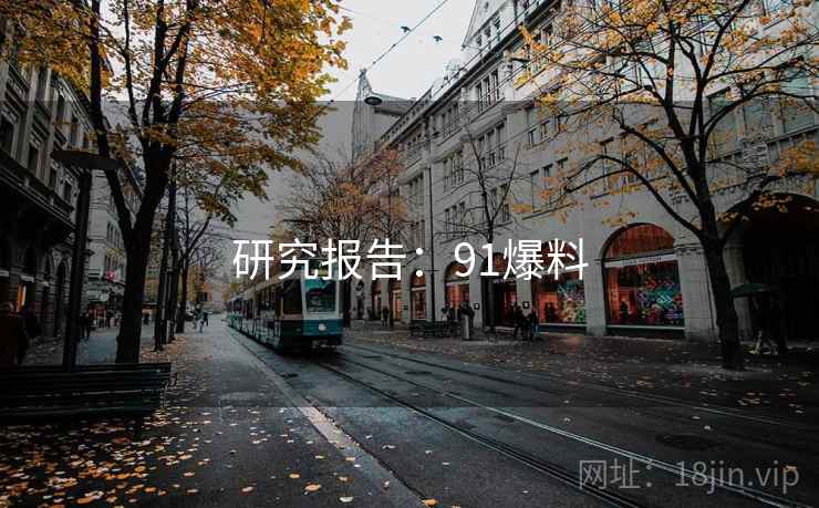 研究报告：91爆料