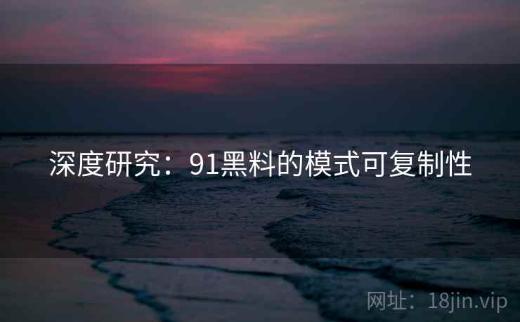 深度研究：91黑料的模式可复制性
