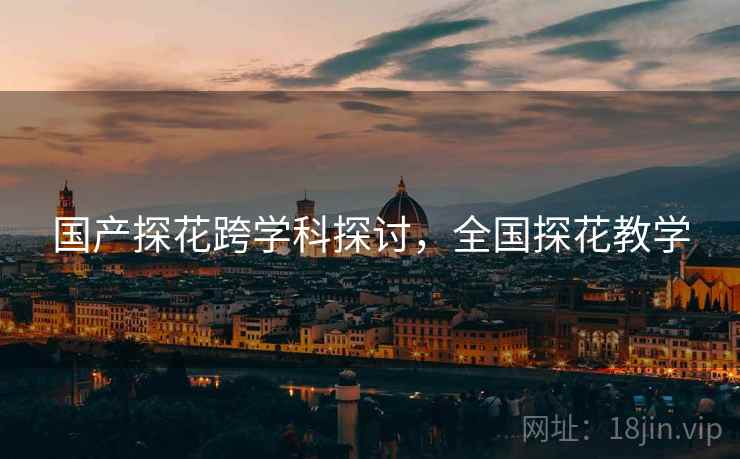 国产探花跨学科探讨，全国探花教学
