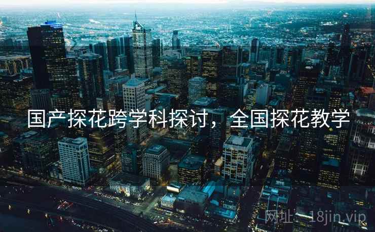 国产探花跨学科探讨，全国探花教学