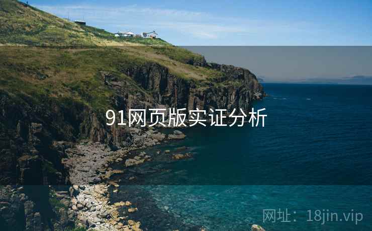 91网页版实证分析