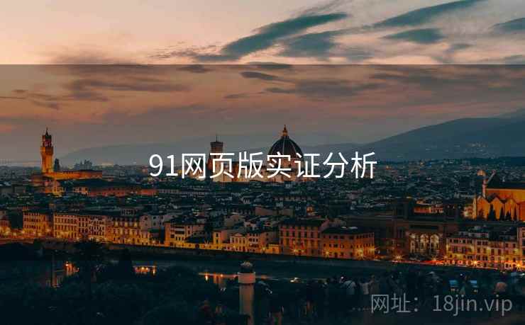 91网页版实证分析