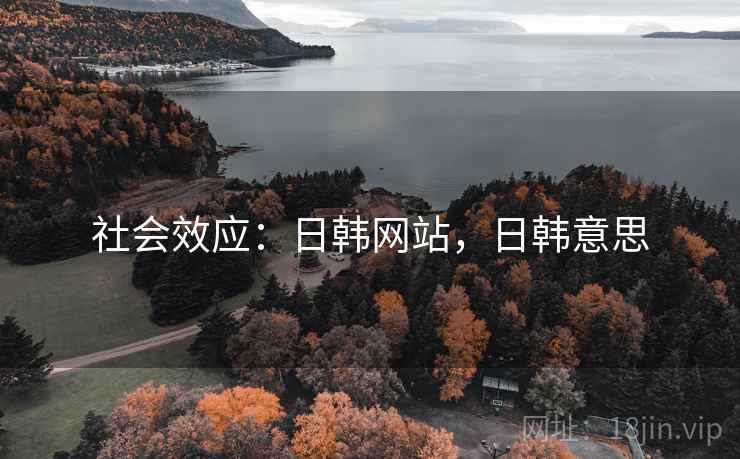 社会效应：日韩网站，日韩意思