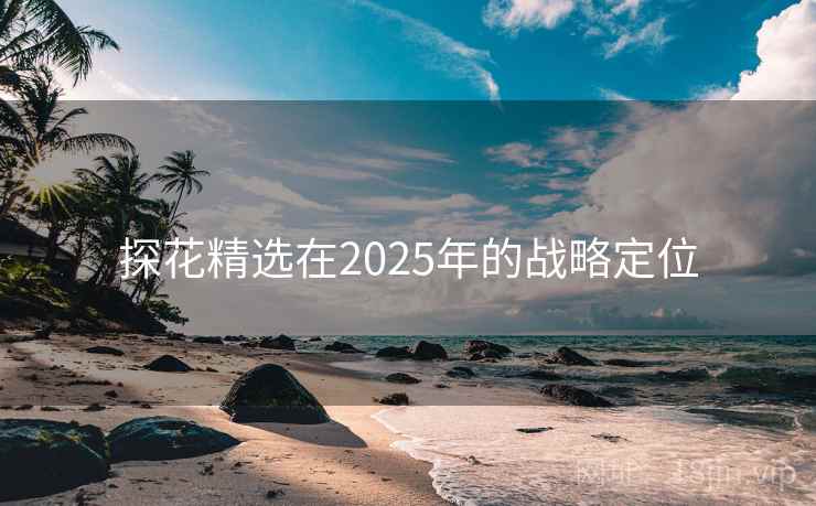 探花精选在2025年的战略定位  第2张