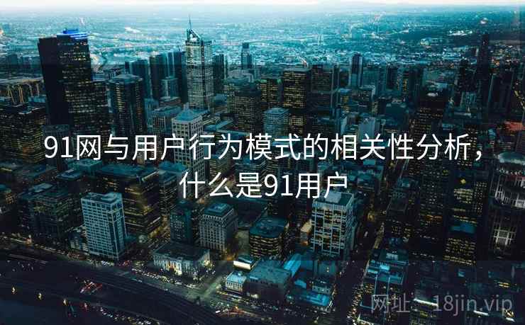 91网与用户行为模式的相关性分析，什么是91用户