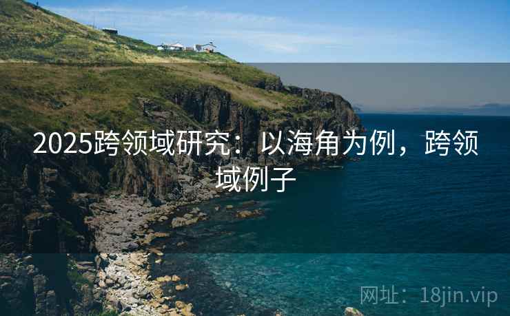 2025跨领域研究：以海角为例，跨领域例子