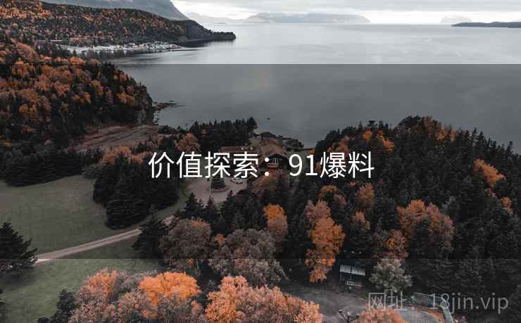 价值探索：91爆料