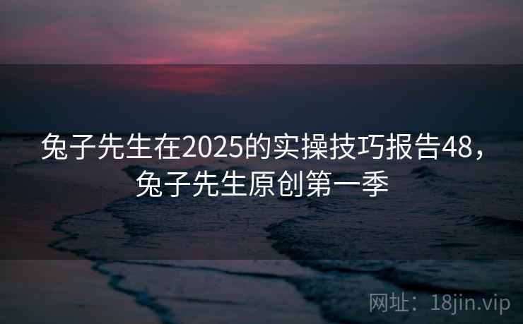 兔子先生在2025的实操技巧报告48，兔子先生原创第一季