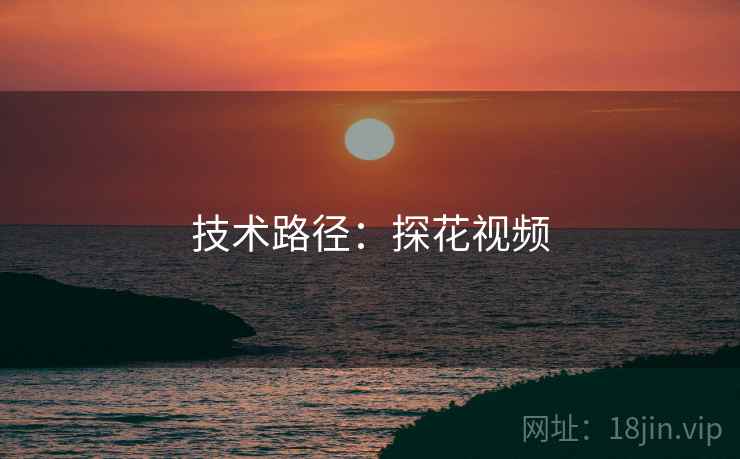 技术路径：探花视频
