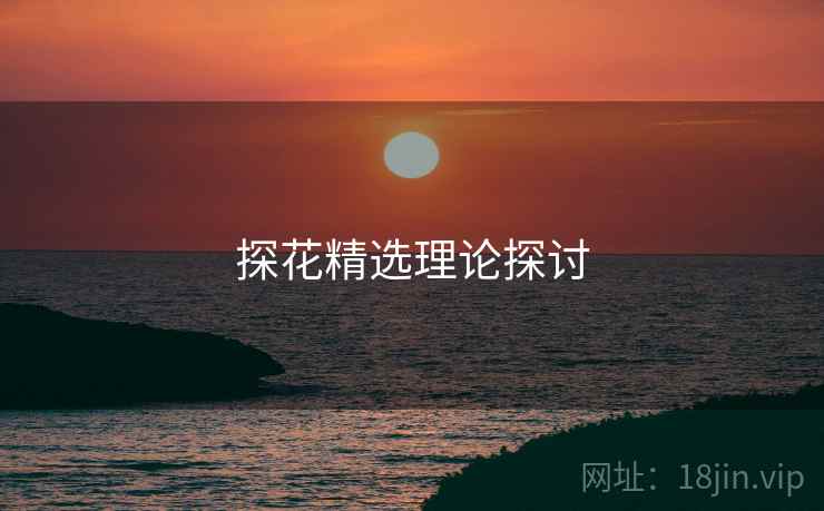 探花精选理论探讨