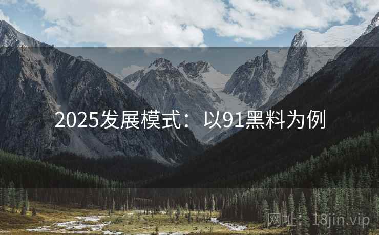 2025发展模式：以91黑料为例  第2张