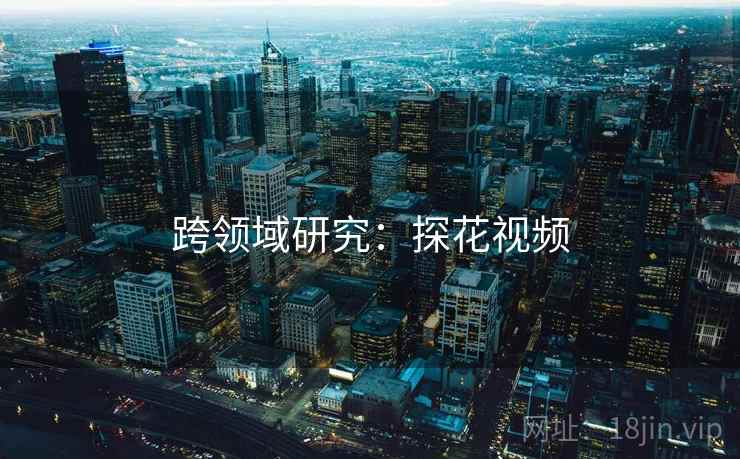 跨领域研究：探花视频