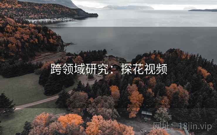 跨领域研究：探花视频