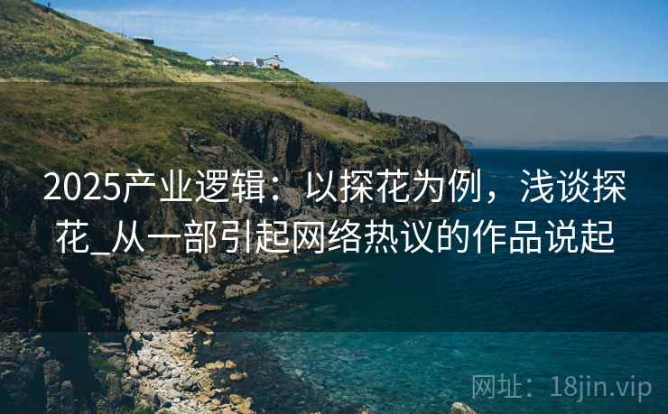 2025产业逻辑：以探花为例，浅谈探花_从一部引起网络热议的作品说起