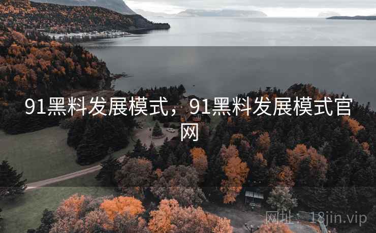 91黑料发展模式，91黑料发展模式官网
