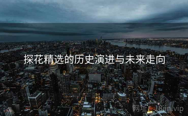 探花精选的历史演进与未来走向