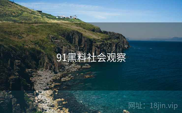91黑料社会观察