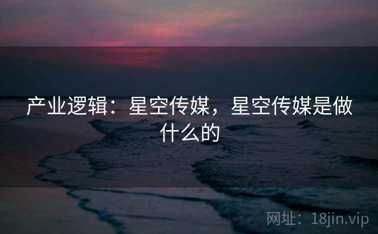 产业逻辑：星空传媒，星空传媒是做什么的