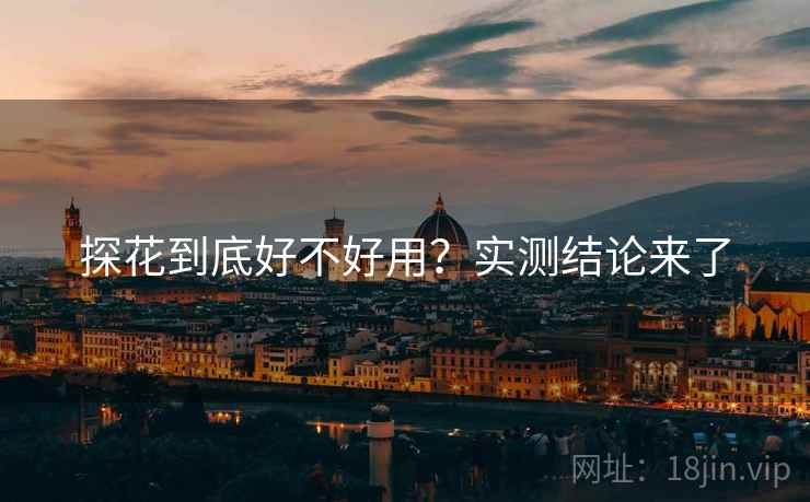 探花到底好不好用？实测结论来了