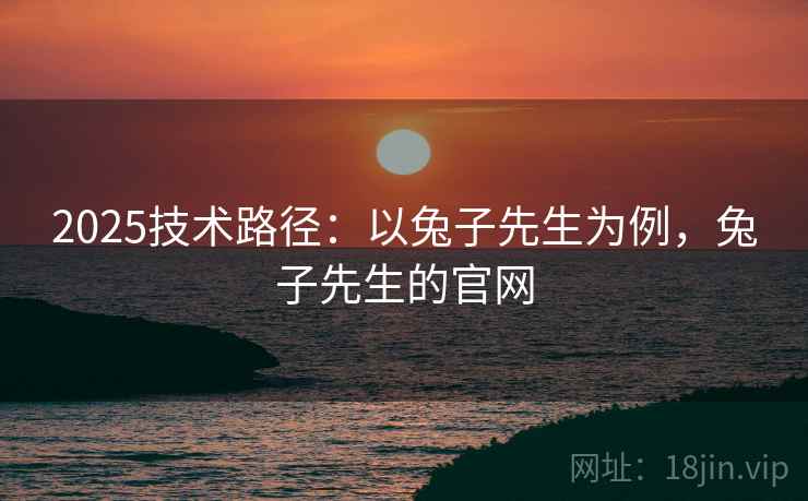 2025技术路径:以兔子先生为例,兔子先生的官网
