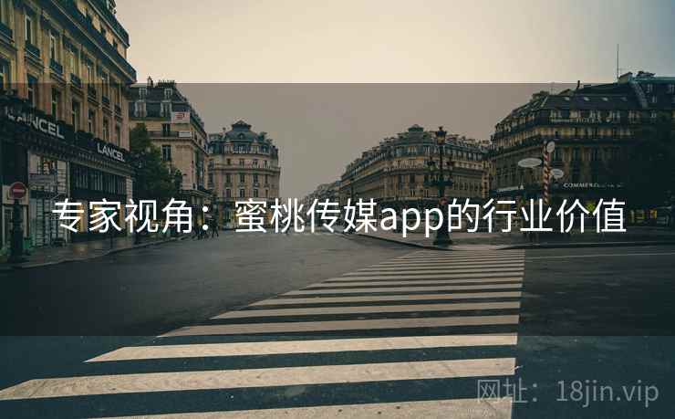 专家视角:蜜桃传媒app的行业价值