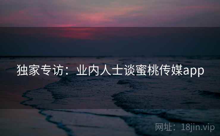 独家专访:业内人士谈蜜桃传媒app